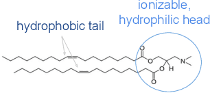 Figure 1 for A Deep Generative Model for the Design of Synthesizable Ionizable Lipids