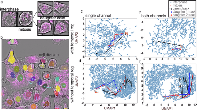 Figure 4 for Contrastive learning of cell state dynamics in response to perturbations