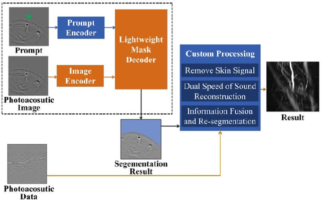 Figure 1 for Streamlined Photoacoustic Image Processing with Foundation Models: A Training-Free Solution