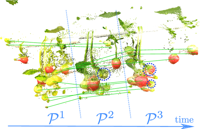 Figure 1 for Horticultural Temporal Fruit Monitoring via 3D Instance Segmentation and Re-Identification using Point Clouds