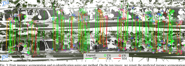 Figure 3 for Horticultural Temporal Fruit Monitoring via 3D Instance Segmentation and Re-Identification using Point Clouds