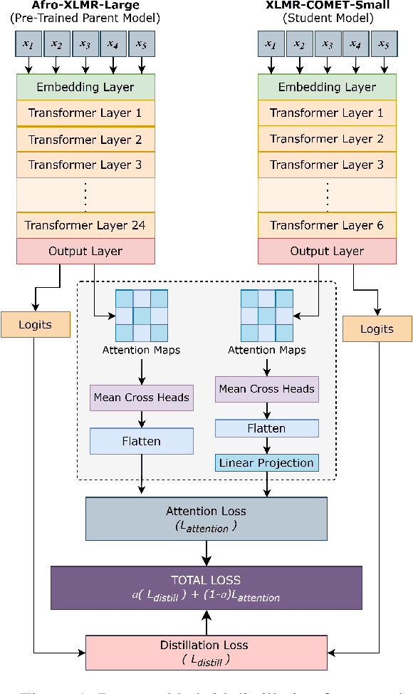 Figure 1 for AfroXLMR-Comet: Multilingual Knowledge Distillation with Attention Matching for Low-Resource languages