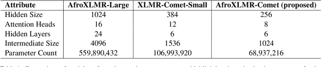 Figure 2 for AfroXLMR-Comet: Multilingual Knowledge Distillation with Attention Matching for Low-Resource languages