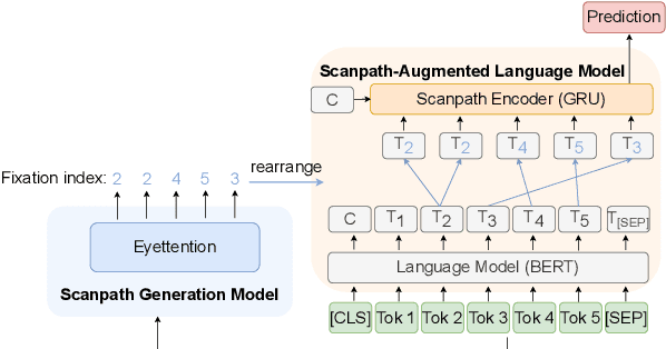 Figure 1 for Pre-Trained Language Models Augmented with Synthetic Scanpaths for Natural Language Understanding