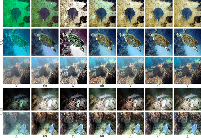 Figure 3 for Learning Efficient and Effective Trajectories for Differential Equation-based Image Restoration