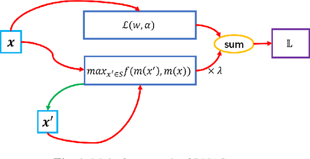 Figure 1 for Robust Neural Architecture Search