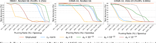 Figure 4 for Electrostatic Force Regularization for Neural Structured Pruning