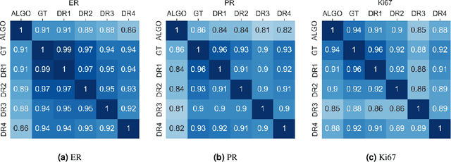 Figure 4 for Development and Validation of Fully Automatic Deep Learning-Based Algorithms for Immunohistochemistry Reporting of Invasive Breast Ductal Carcinoma