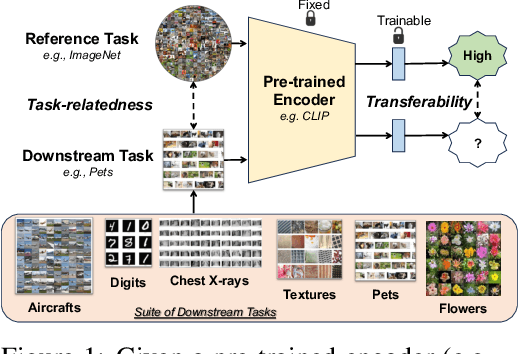 Figure 1 for Analysis of Task Transferability in Large Pre-trained Classifiers