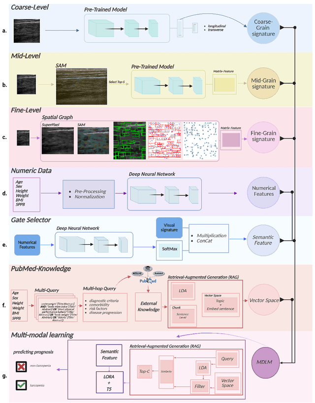 Figure 1 for MedVQA-TREE: A Multimodal Reasoning and Retrieval Framework for Sarcopenia Prediction