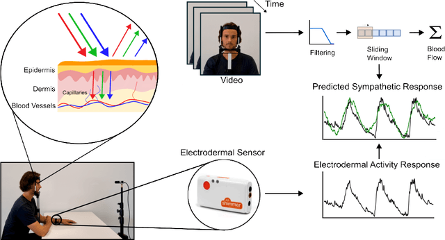 Figure 1 for Video-based sympathetic arousal assessment via peripheral blood flow estimation