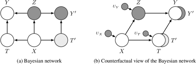 Figure 1 for Counterfactual Generative Modeling with Variational Causal Inference