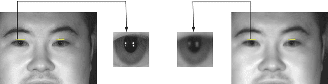 Figure 1 for A Prior Embedding-Driven Architecture for Long Distance Blind Iris Recognition