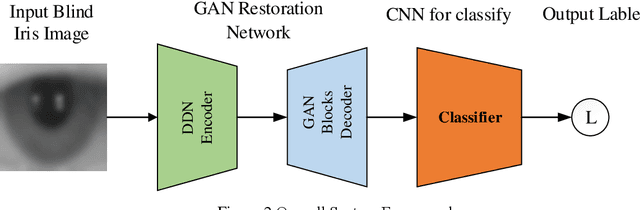 Figure 3 for A Prior Embedding-Driven Architecture for Long Distance Blind Iris Recognition