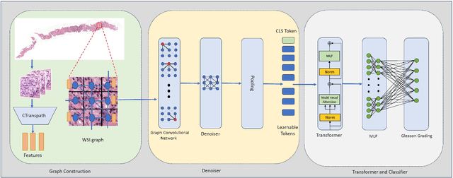 Figure 1 for Artifact-Robust Graph-Based Learning in Digital Pathology