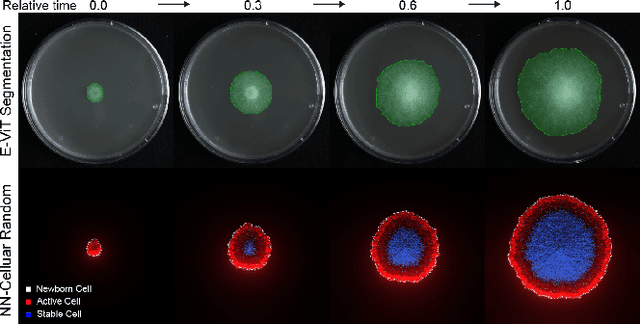 Figure 2 for Exploring Fungal Morphology Simulation and Dynamic Light Containment from a Graphics Generation Perspective