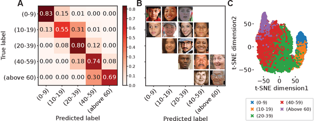 Figure 3 for A Longitudinal Analysis of Racial and Gender Bias in New York Times and Fox News Images and Articles