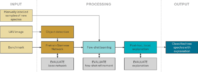 Figure 1 for Explainable few-shot learning workflow for detecting invasive and exotic tree species