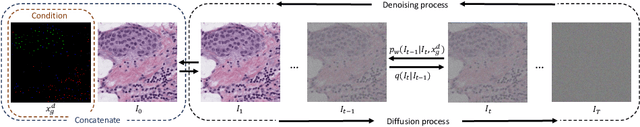 Figure 3 for Spatial Diffusion for Cell Layout Generation