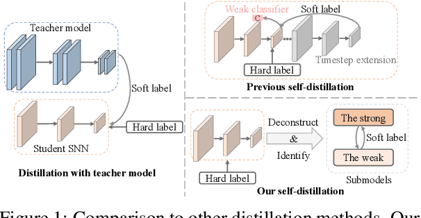 Figure 1 for Synergy Between the Strong and the Weak: Spiking Neural Networks are Inherently Self-Distillers