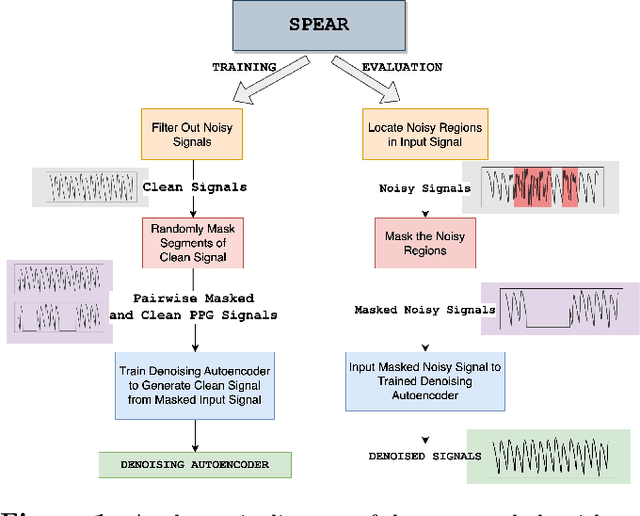 Figure 1 for A Self-Supervised Algorithm for Denoising Photoplethysmography Signals for Heart Rate Estimation from Wearables