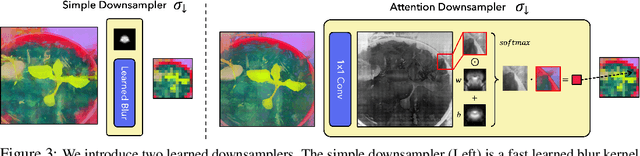 Figure 4 for FeatUp: A Model-Agnostic Framework for Features at Any Resolution