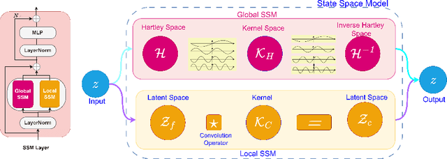 Figure 1 for Spectral Convolutional Transformer: Harmonizing Real vs. Complex Multi-View Spectral Operators for Vision Transformer