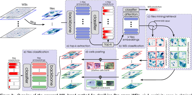 Figure 3 for Self-Supervised Learning-Based Cervical Cytology Diagnostics in Low-Data Regime and Low-Resource Setting