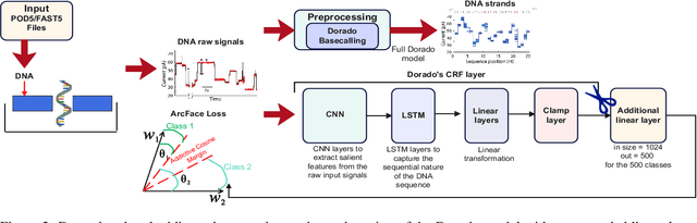 Figure 3 for Beyond the Alphabet: Deep Signal Embedding for Enhanced DNA Clustering