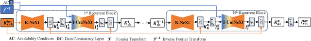 Figure 3 for DuDoUniNeXt: Dual-domain unified hybrid model for single and multi-contrast undersampled MRI reconstruction