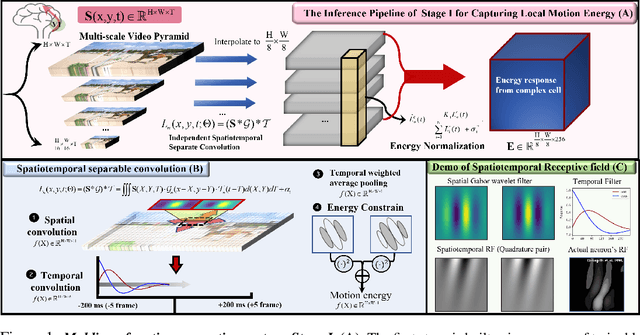 Figure 1 for Modelling Human Visual Motion Processing with Trainable Motion Energy Sensing and a Self-attention Network for Adaptive Motion Integration