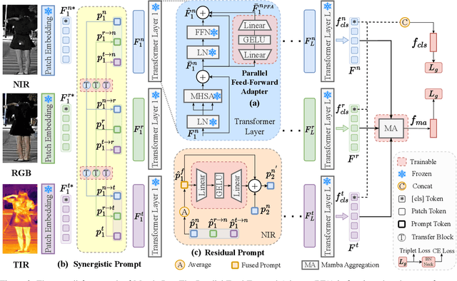 Figure 3 for MambaPro: Multi-Modal Object Re-Identification with Mamba Aggregation and Synergistic Prompt