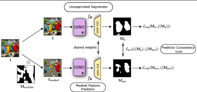 Figure 1 for PEEKABOO: Hiding parts of an image for unsupervised object localization