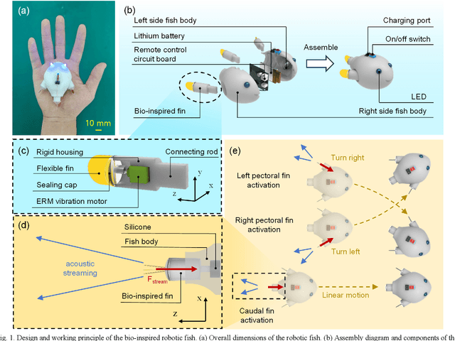 Figure 1 for Harnessing the Power of Vibration Motors to Develop Miniature Untethered Robotic Fishes