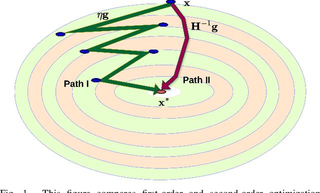Figure 1 for Accelerated Training of Federated Learning via Second-Order Methods