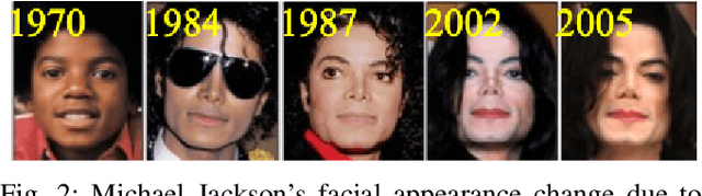 Figure 2 for Towards Inclusive Face Recognition Through Synthetic Ethnicity Alteration