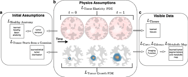 Figure 3 for Physics-Regularized Multi-Modal Image Assimilation for Brain Tumor Localization