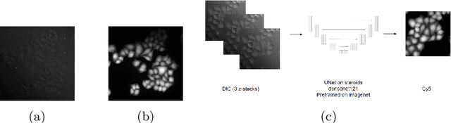 Figure 3 for Learning with minimal effort: leveraging in silico labeling for cell and nucleus segmentation