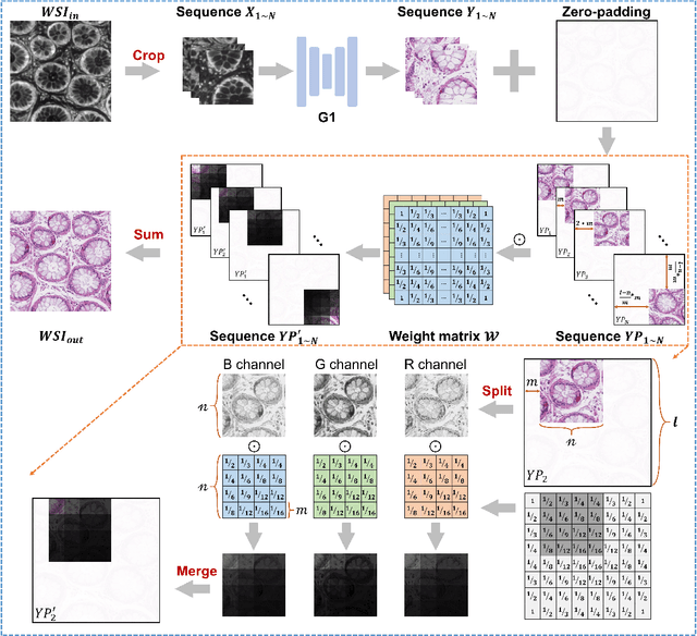 Figure 2 for A Value Mapping Virtual Staining Framework for Large-scale Histological Imaging