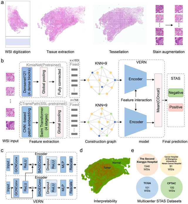 Figure 1 for Feature-interactive Siamese graph encoder-based image analysis to predict STAS from histopathology images in lung cancer