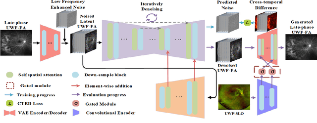 Figure 1 for LPUWF-LDM: Enhanced Latent Diffusion Model for Precise Late-phase UWF-FA Generation on Limited Dataset