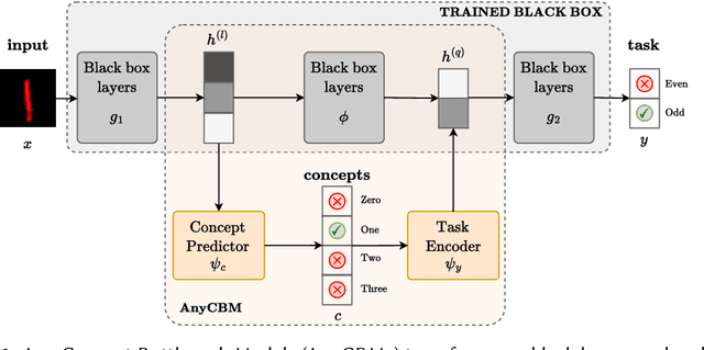 Figure 1 for AnyCBMs: How to Turn Any Black Box into a Concept Bottleneck Model