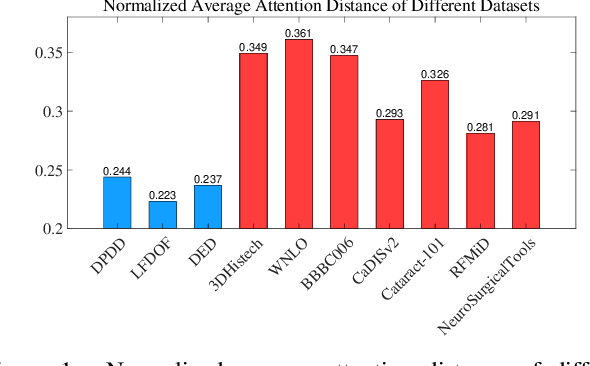 Figure 1 for A Unified Framework for Microscopy Defocus Deblur with Multi-Pyramid Transformer and Contrastive Learning
