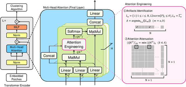 Figure 1 for Improving Image Clustering with Artifacts Attenuation via Inference-Time Attention Engineering