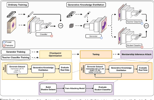 Figure 1 for Synthetic Image Learning: Preserving Performance and Preventing Membership Inference Attacks