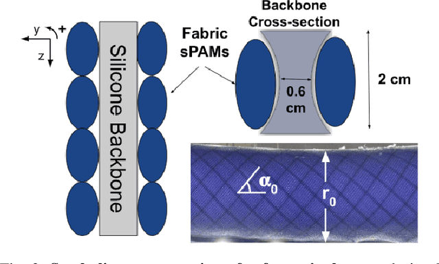 Figure 2 for Stable Real-Time Feedback Control of a Pneumatic Soft Robot