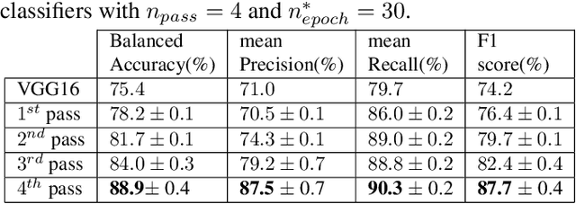 Figure 2 for Scribble-based fast weak-supervision and interactive corrections for segmenting whole slide images