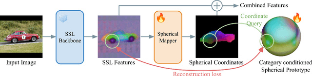 Figure 3 for Improving Semantic Correspondence with Viewpoint-Guided Spherical Maps