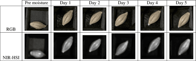 Figure 1 for A Time Series Dataset of NIR Spectra and RGB and NIR-HSI Images of the Barley Germination Process