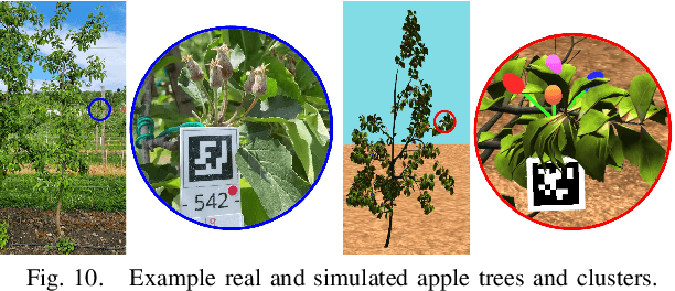 Figure 2 for Autonomous Apple Fruitlet Sizing with Next Best View Planning